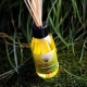Euroscents Difussion - Mikado Citronella con tapón difusor y varillas, 125 ml.