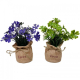 planta artificial con saco de yute 2 modelos diferentes