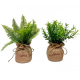 planta artificial pequeña con saco de yute 2 modelos diferentes