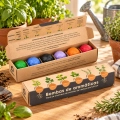 resetea_bombas_aromaticas