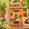 Kit Terrarium Pino con tarro de cristal y semillas en caja naranja