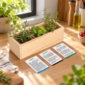 Mini huerto Mediterráneo con plantas verdes y caja de madera clara