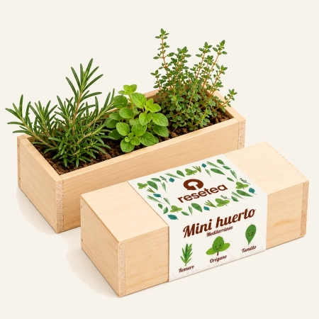 Mini huerto Mediterráneo con plantas verdes y caja de madera clara