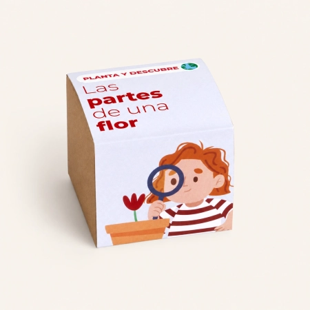 Caja cuadrada del kit infantil Las partes de una flor con ilustración